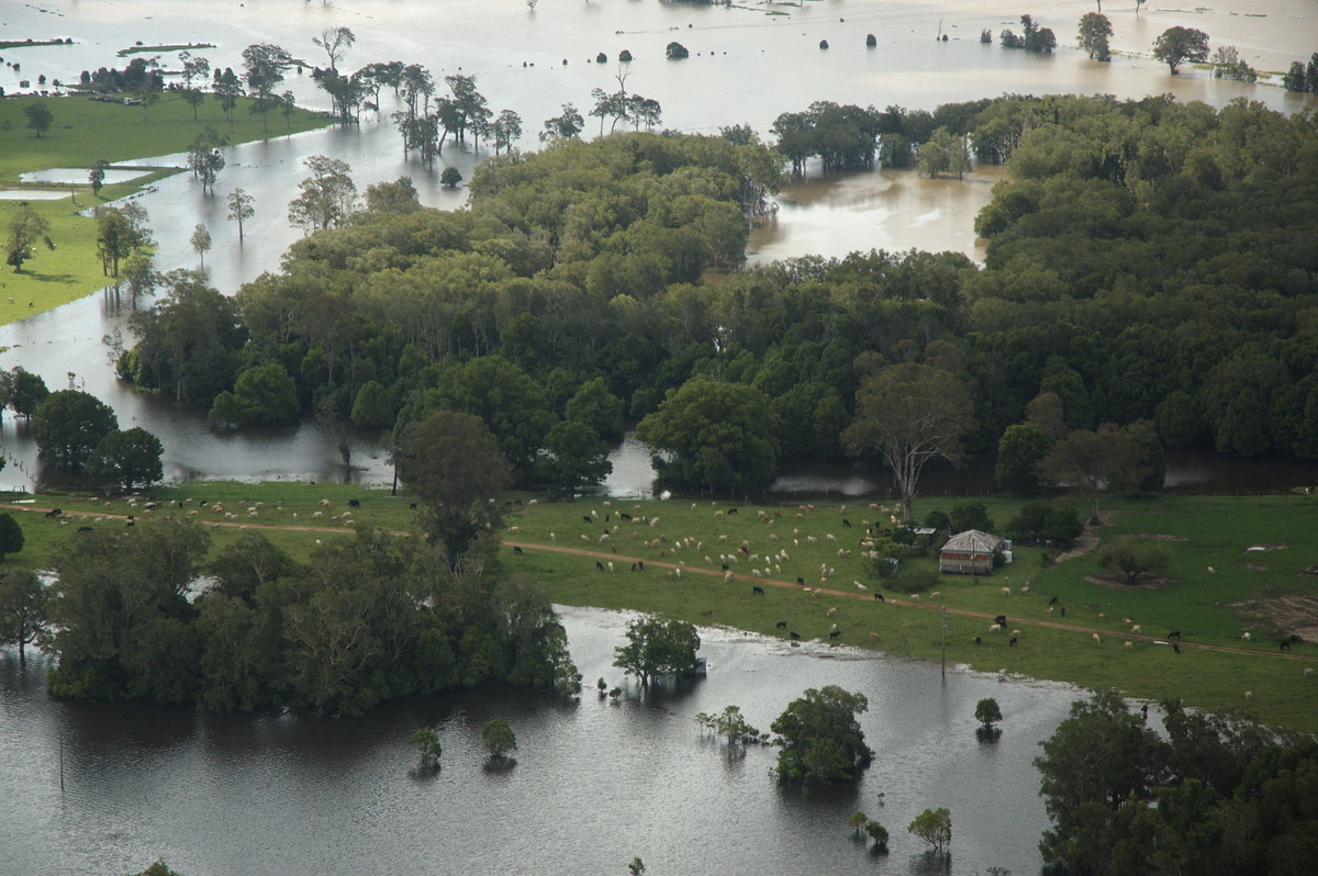 flashflooding flood_pictures : Coraki area, NSW   7 January 2008