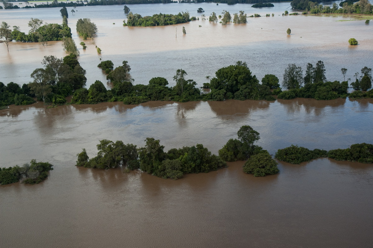 flashflooding flood_pictures : Coraki area, NSW   7 January 2008