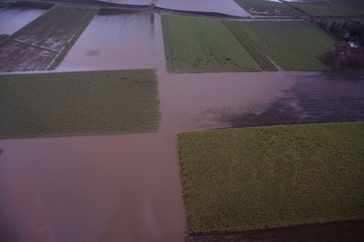 flashflooding flood_pictures : Coraki area, NSW   8 January 2008