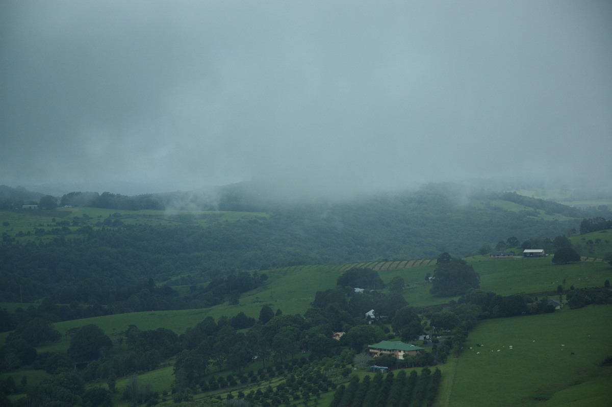 fogmist fog_mist_frost : Lismore, NSW   9 January 2008