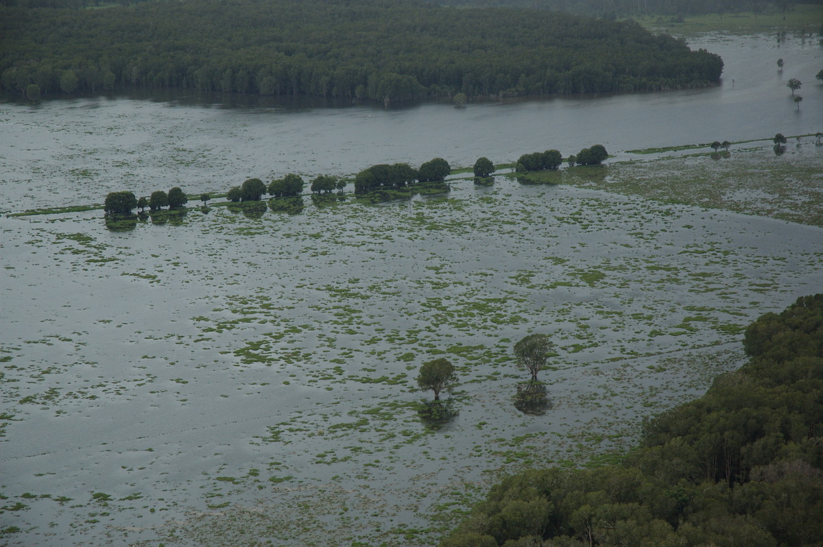 flashflooding flood_pictures : Coraki area, NSW   9 January 2008