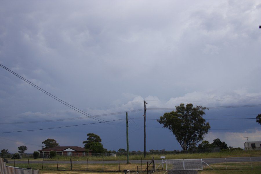 raincascade precipitation_cascade : Schofields, NSW   13 January 2008