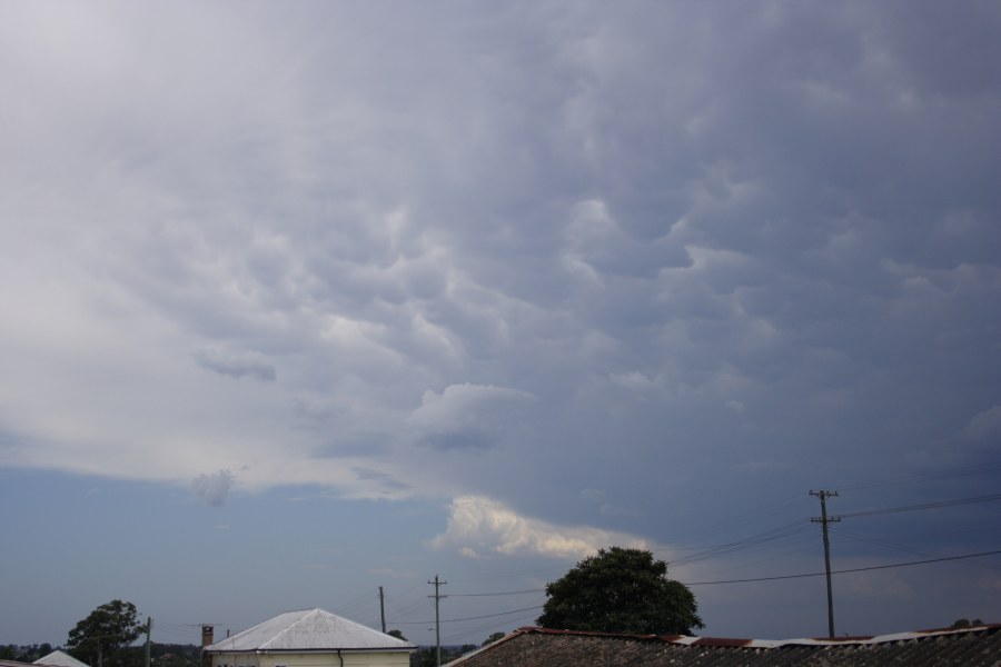 mammatus mammatus_cloud : Schofields, NSW   13 January 2008