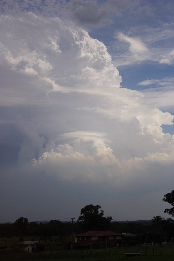 updraft thunderstorm_updrafts : Schofields, NSW   16 January 2008