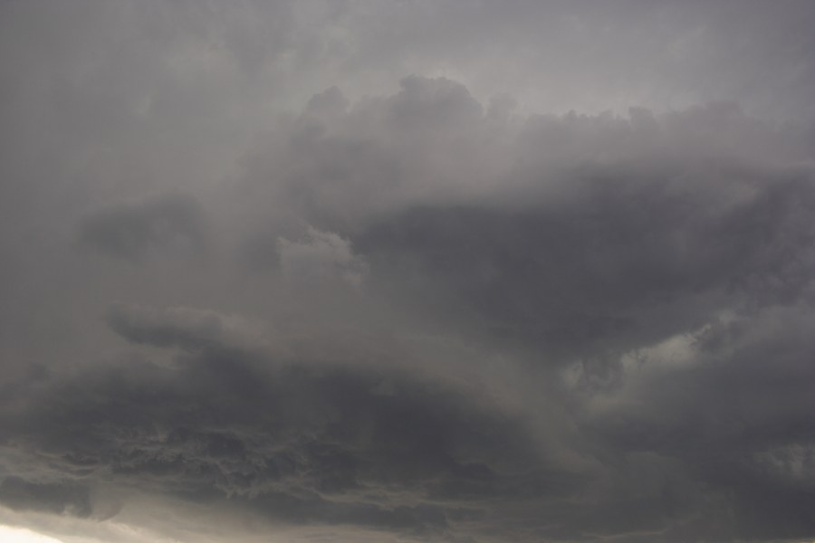 cumulonimbus thunderstorm_base : Prospect, NSW   16 January 2008