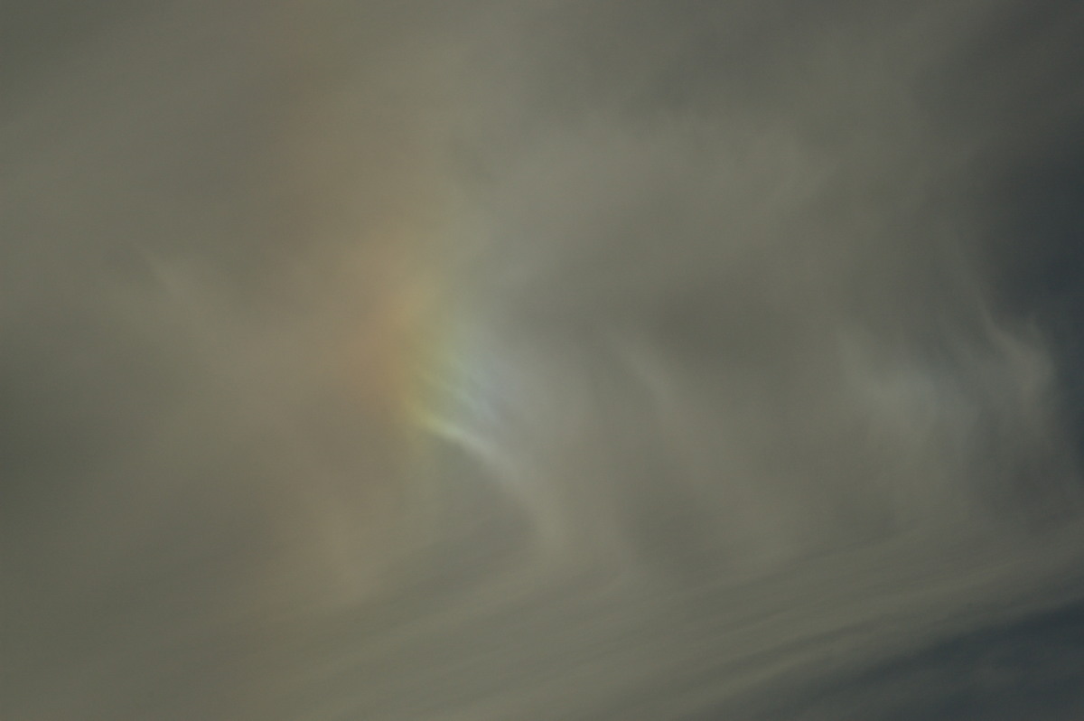 cirrostratus cirrostratus_cloud : McLeans Ridges, NSW   16 January 2008