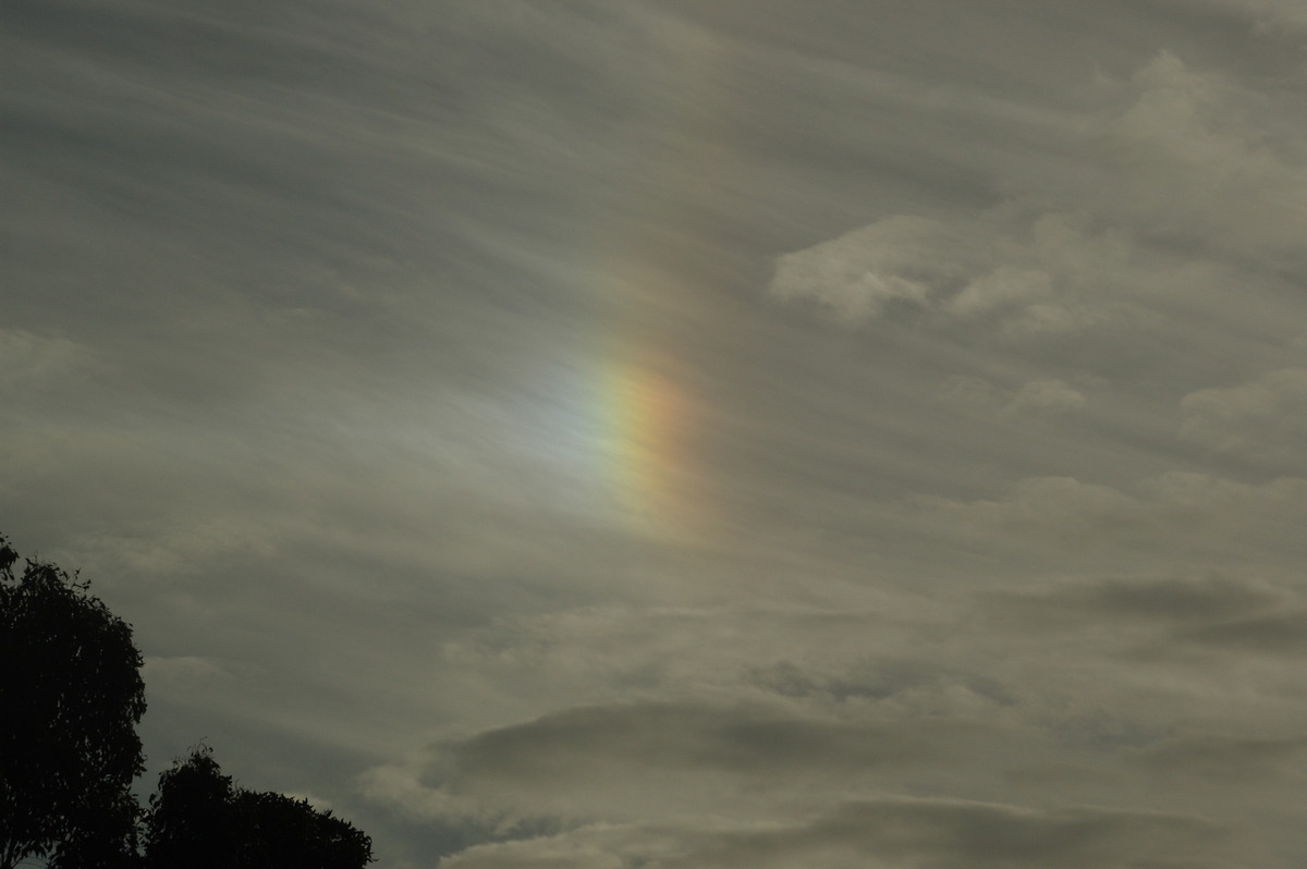 cirrostratus cirrostratus_cloud : McLeans Ridges, NSW   16 January 2008