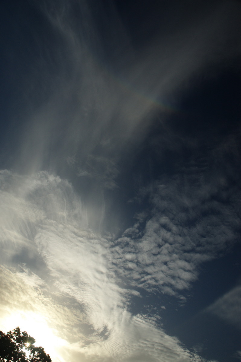 cirrus cirrus_cloud : McLeans Ridges, NSW   16 January 2008