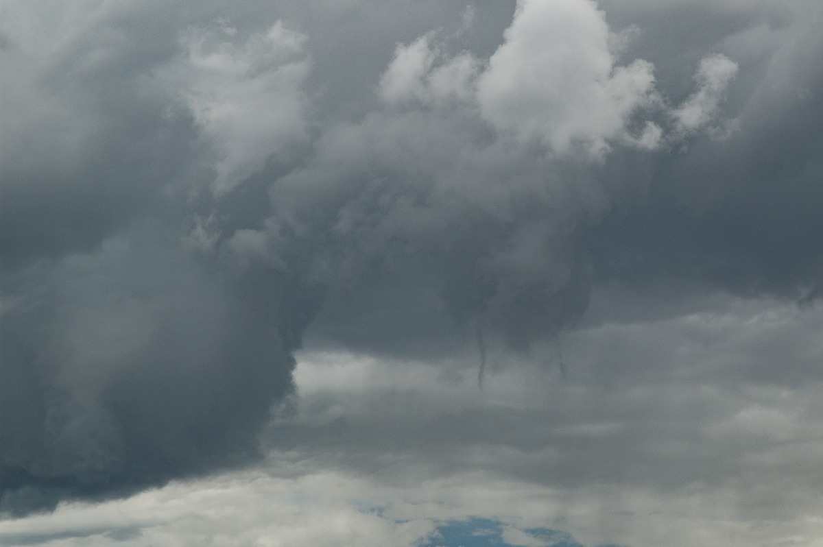 tornadoes funnel_tornado_waterspout : Deepwater, NSW   27 January 2008