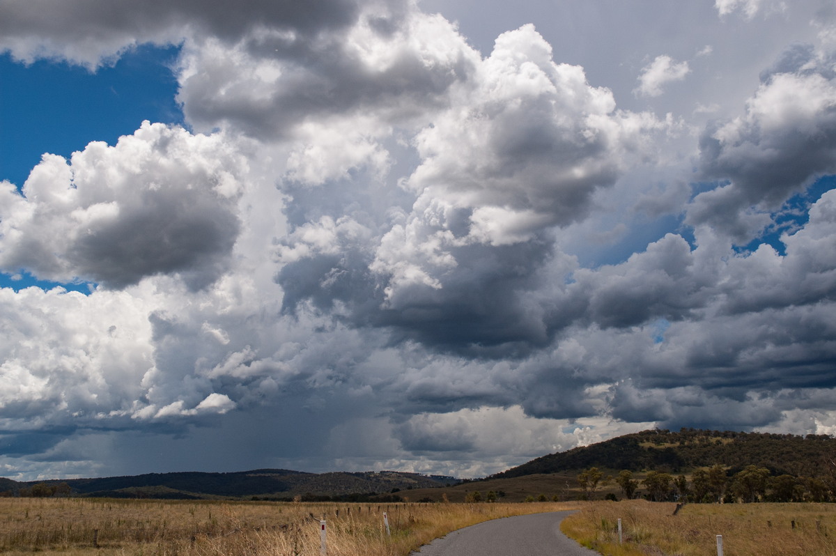 cumulus mediocris : S of Tenterfield, NSW   27 January 2008