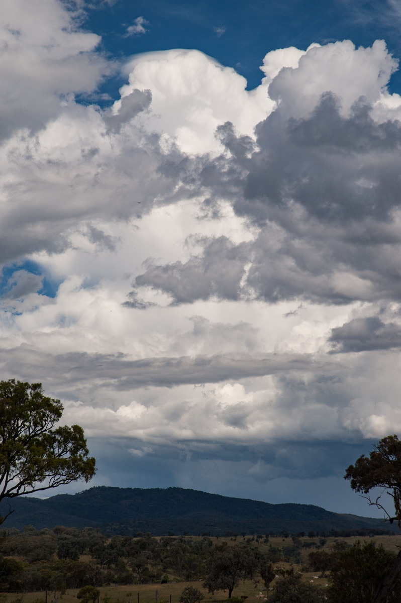 updraft thunderstorm_updrafts : W of Tenterfield, NSW   27 January 2008