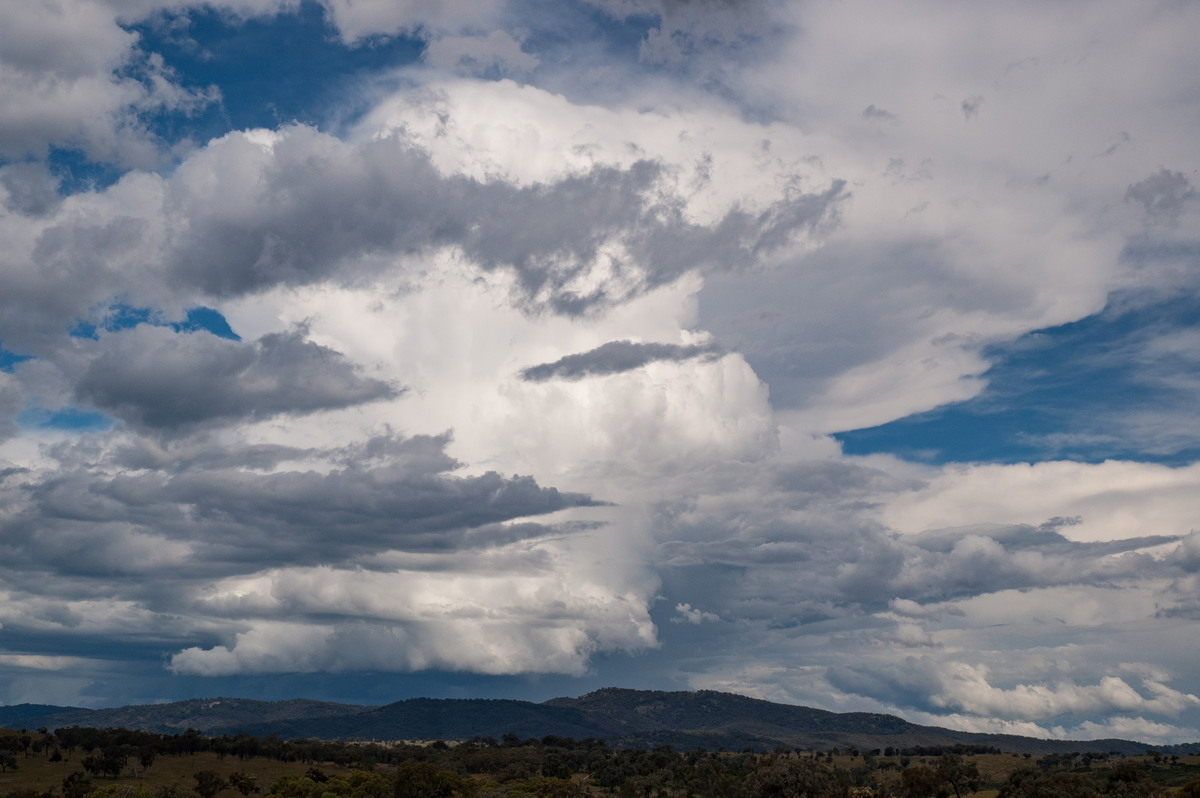 thunderstorm cumulonimbus_incus : W of Tenterfield, NSW   27 January 2008