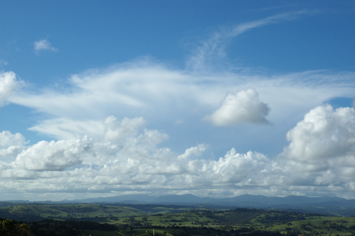 anvil thunderstorm_anvils : McLeans Ridges, NSW   29 January 2008