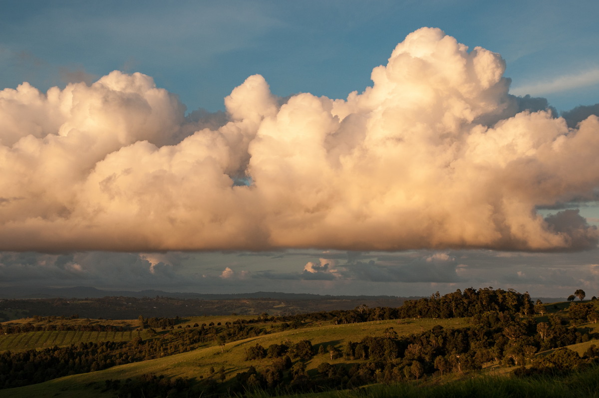 cumulus mediocris : McLeans Ridges, NSW   29 January 2008