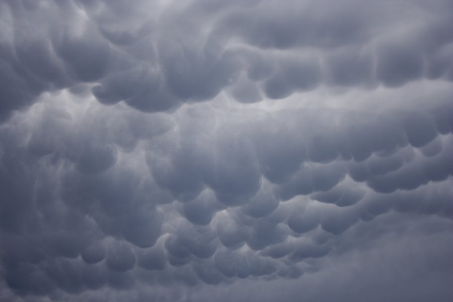 mammatus mammatus_cloud : Schofields, NSW   30 January 2008