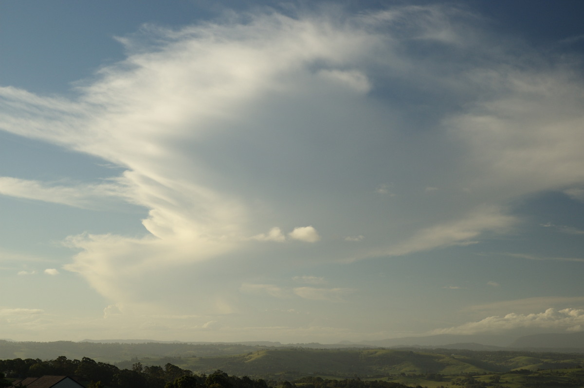 anvil thunderstorm_anvils : McLeans Ridges, NSW   31 January 2008