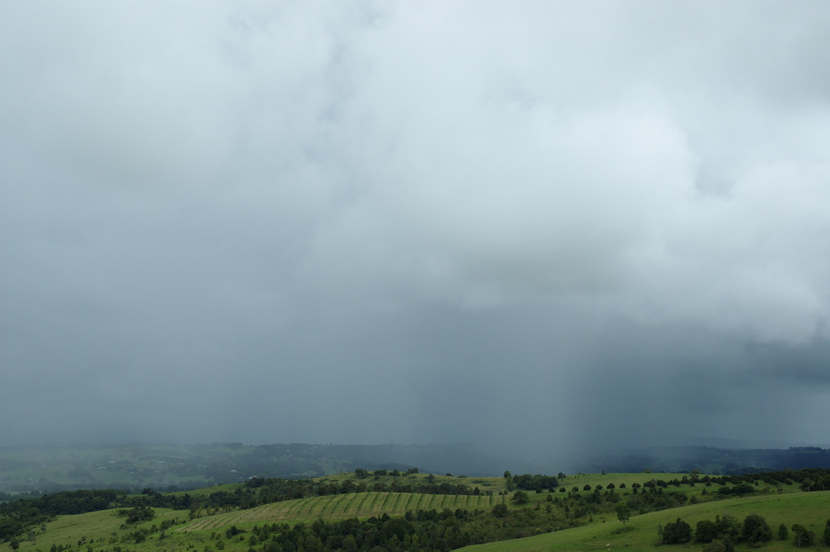 raincascade precipitation_cascade : McLeans Ridges, NSW   3 February 2008