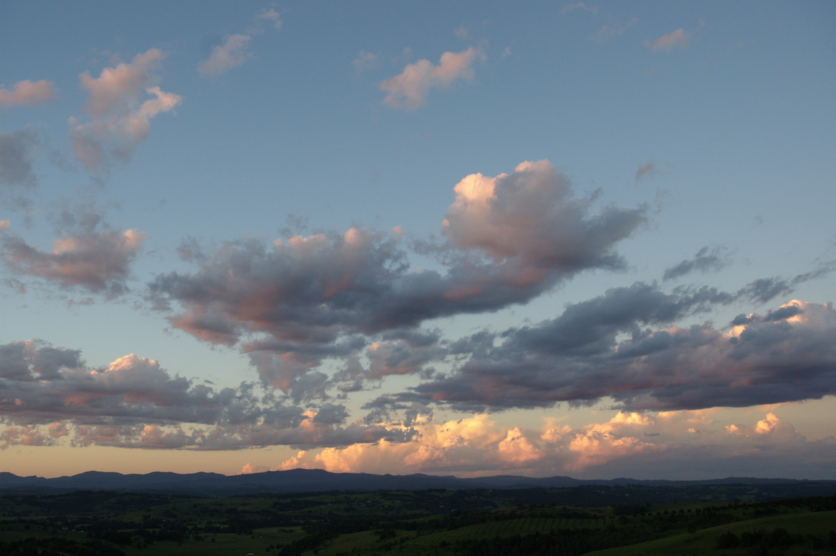 cumulus mediocris : McLeans Ridges, NSW   7 February 2008