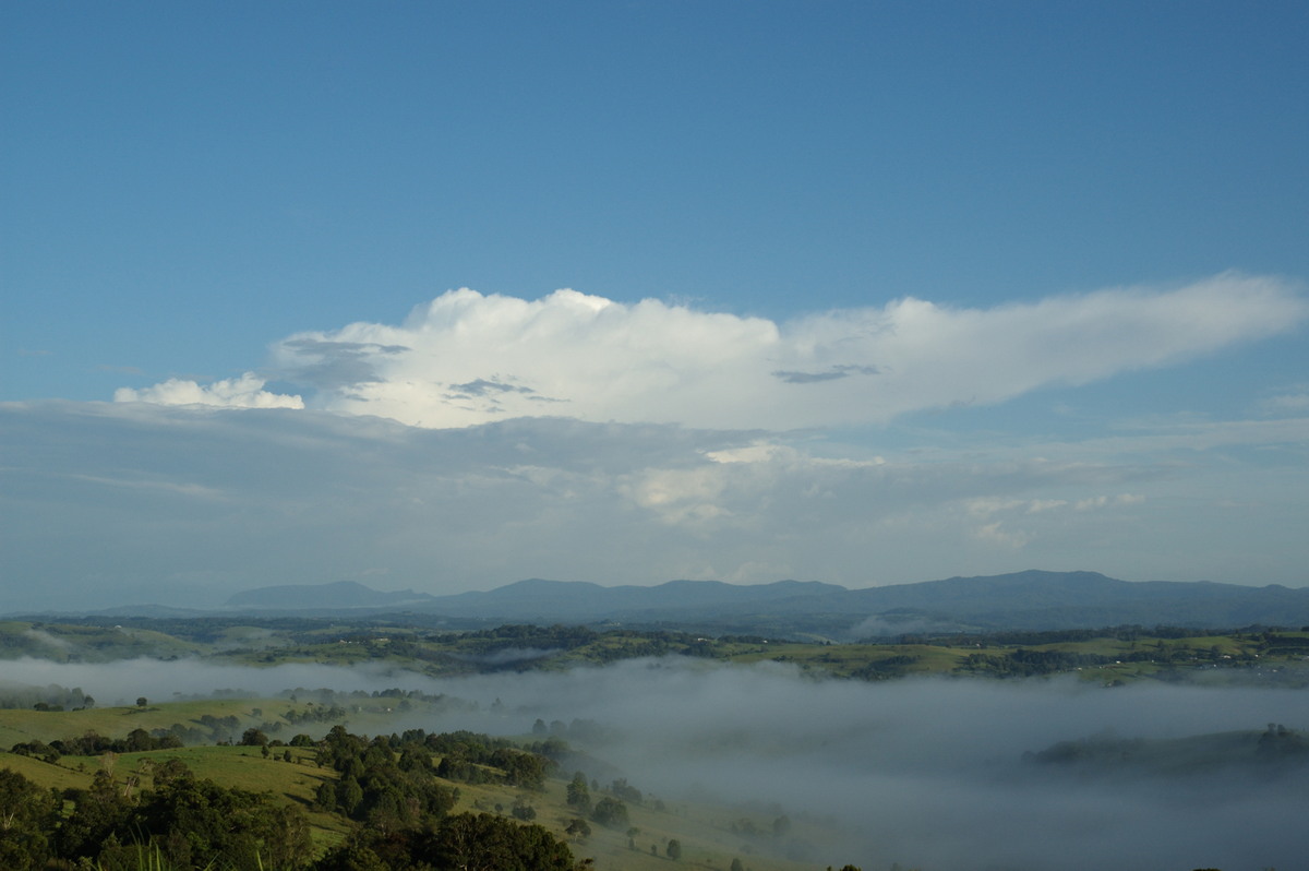 fogmist fog_mist_frost : McLeans Ridges, NSW   8 February 2008