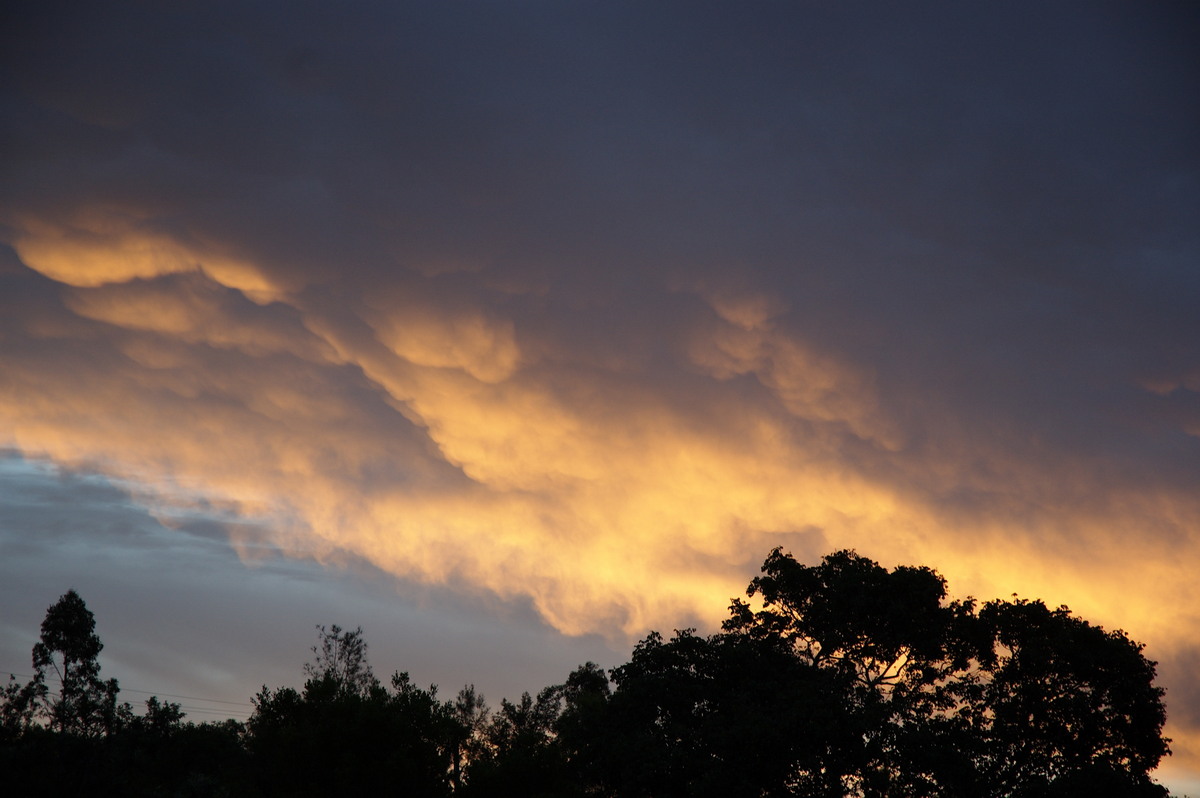 sunset sunset_pictures : McLeans Ridges, NSW   10 February 2008