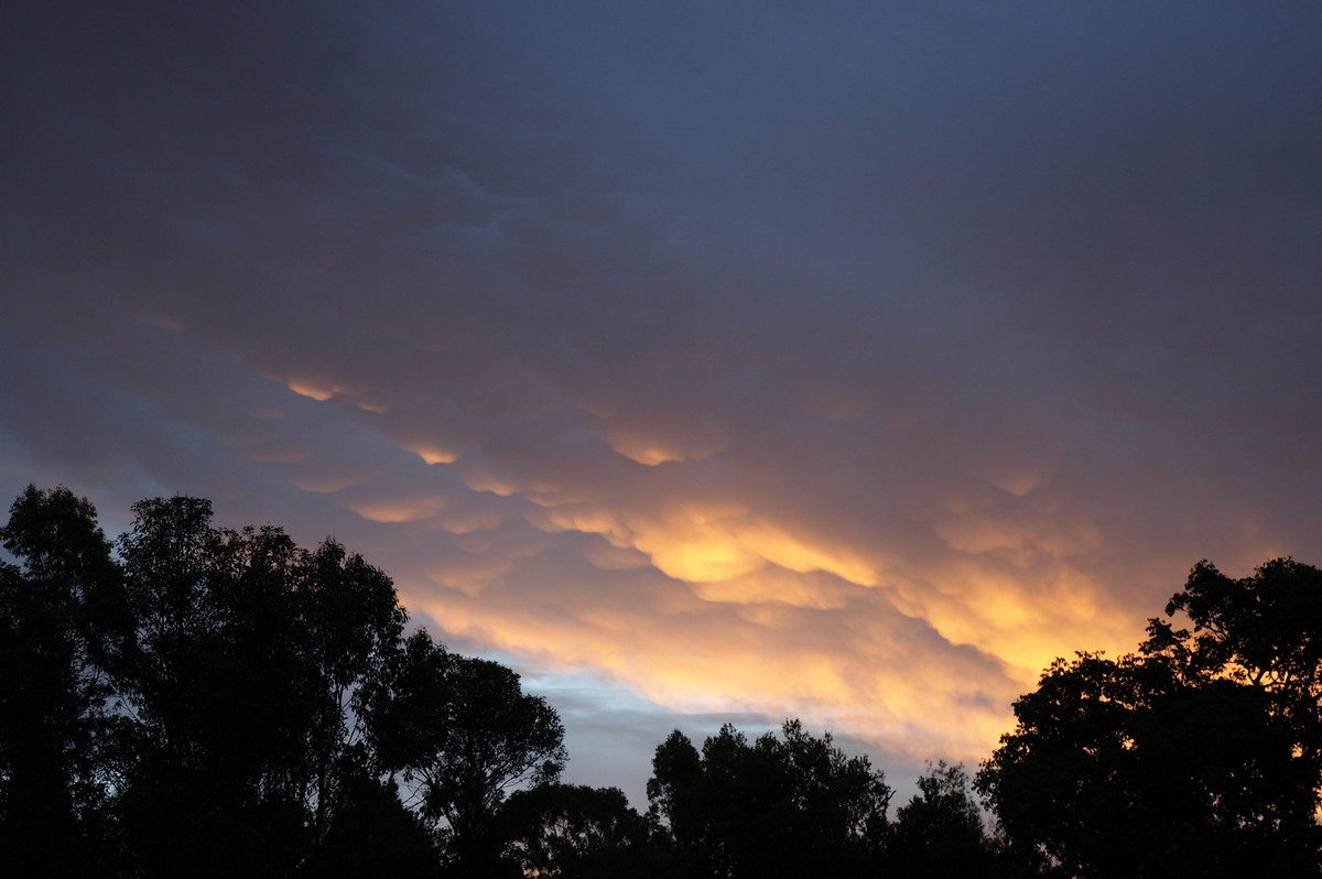 sunset sunset_pictures : McLeans Ridges, NSW   10 February 2008