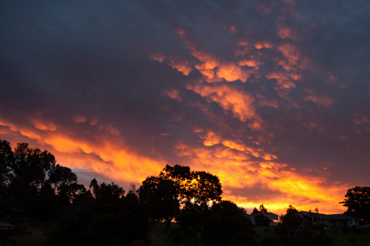 sunset sunset_pictures : McLeans Ridges, NSW   10 February 2008