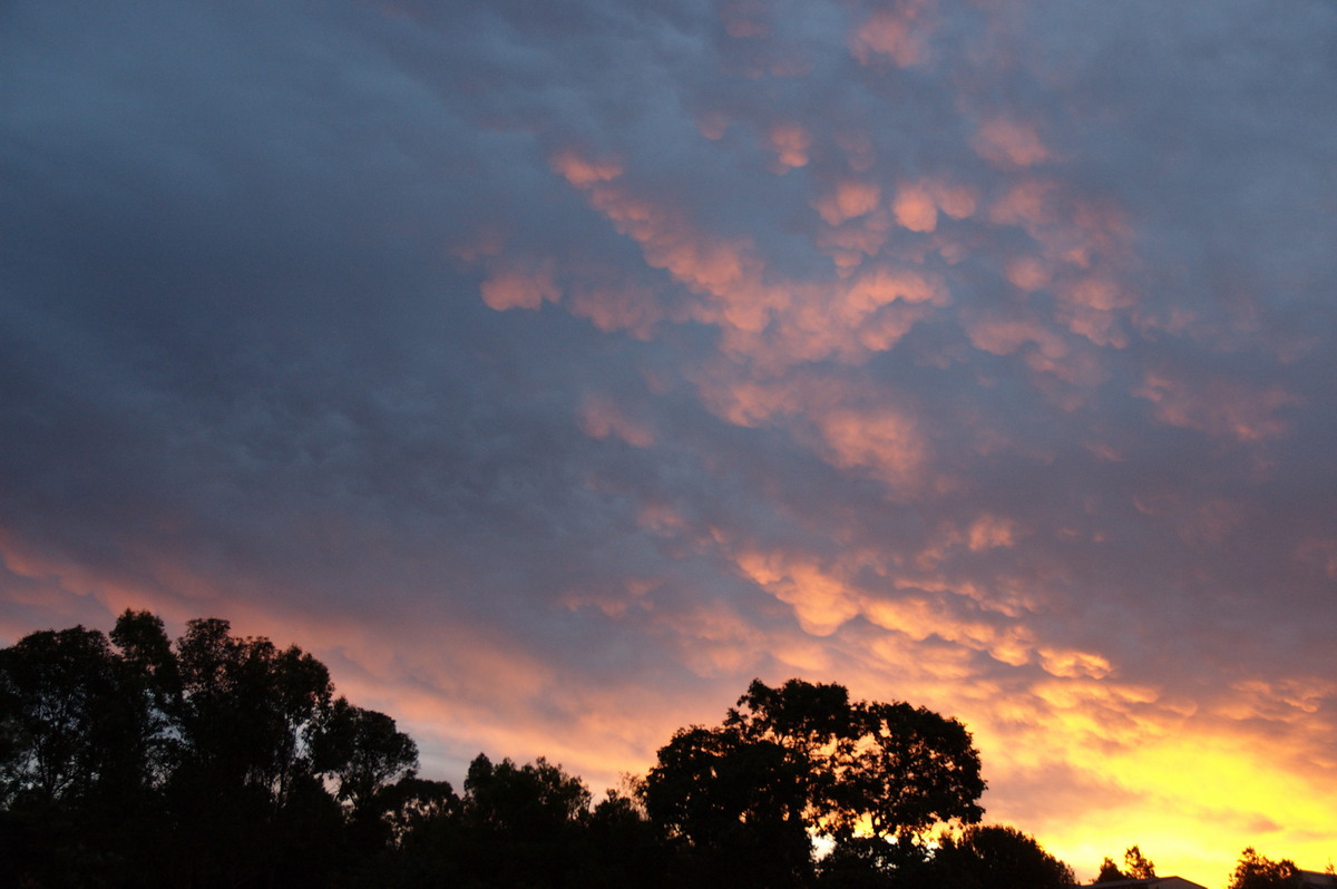 sunset sunset_pictures : McLeans Ridges, NSW   10 February 2008