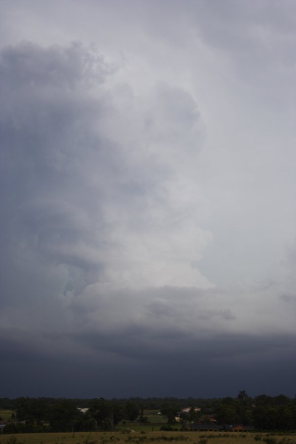 updraft thunderstorm_updrafts : near Cross Roads, NSW   26 February 2008