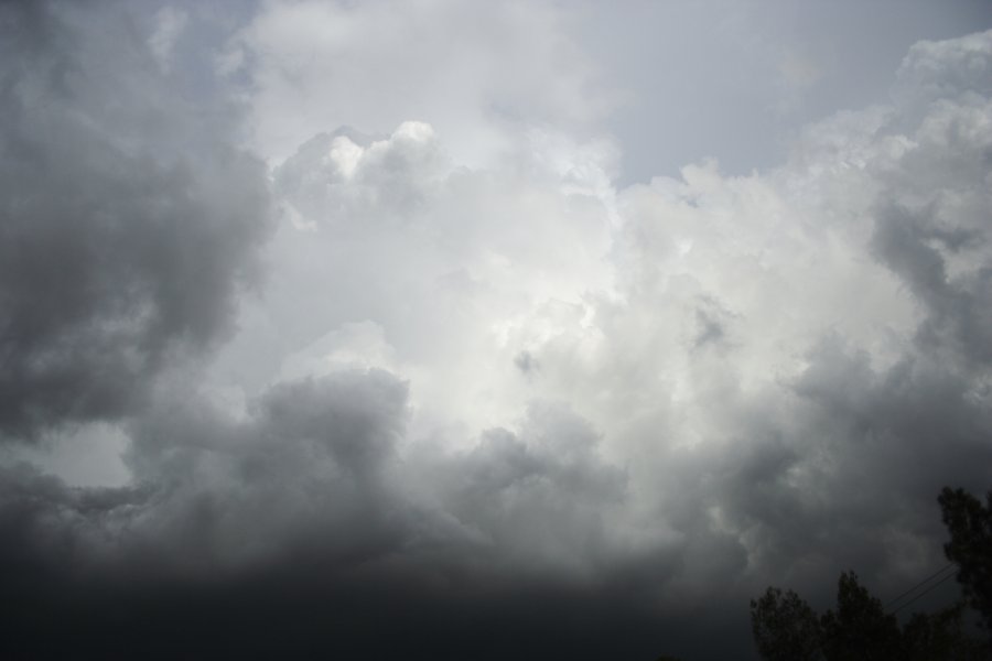 updraft thunderstorm_updrafts : near Smithfield, NSW   26 February 2008