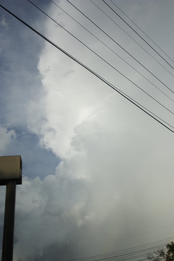 updraft thunderstorm_updrafts : near Bankstown, NSW   26 February 2008