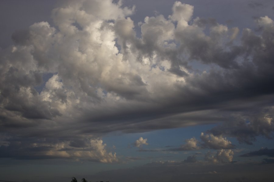 altocumulus castellanus : Schofields, NSW   27 February 2008