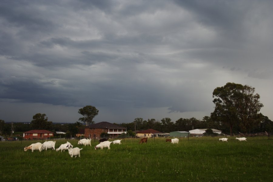 cumulonimbus thunderstorm_base : Schofields, NSW   27 February 2008