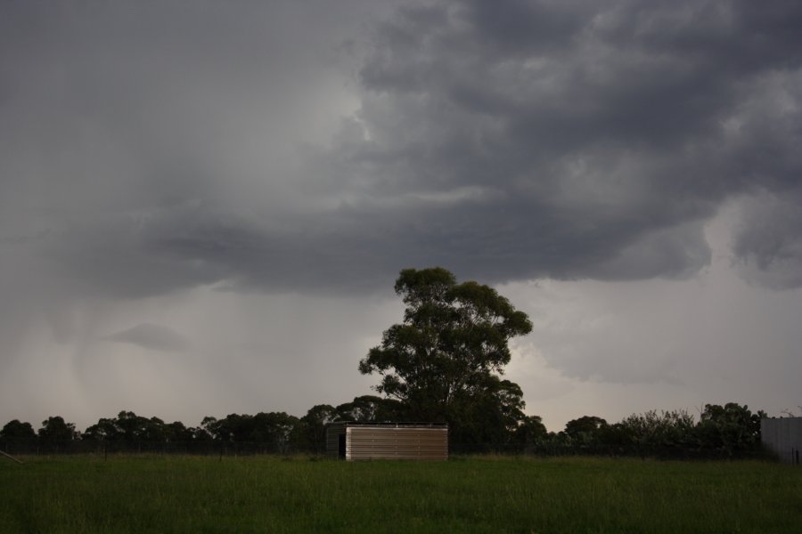 cumulonimbus thunderstorm_base : Schofields, NSW   27 February 2008