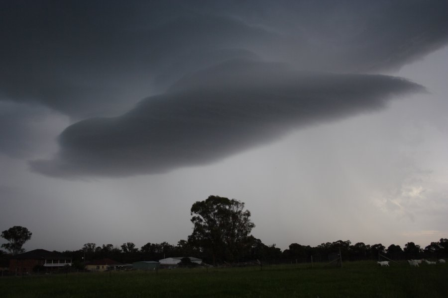 cumulonimbus thunderstorm_base : Schofields, NSW   27 February 2008