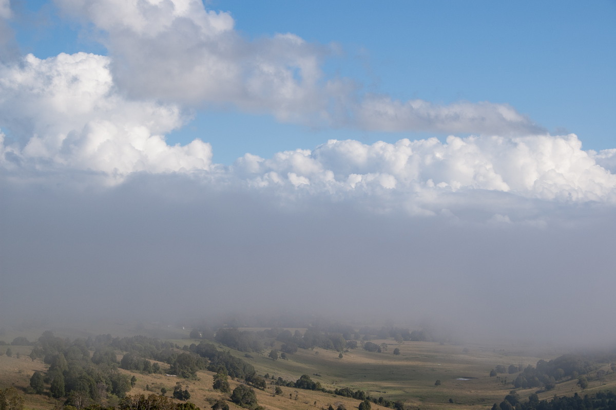 cumulus congestus : McLeans Ridges, NSW   15 March 2008