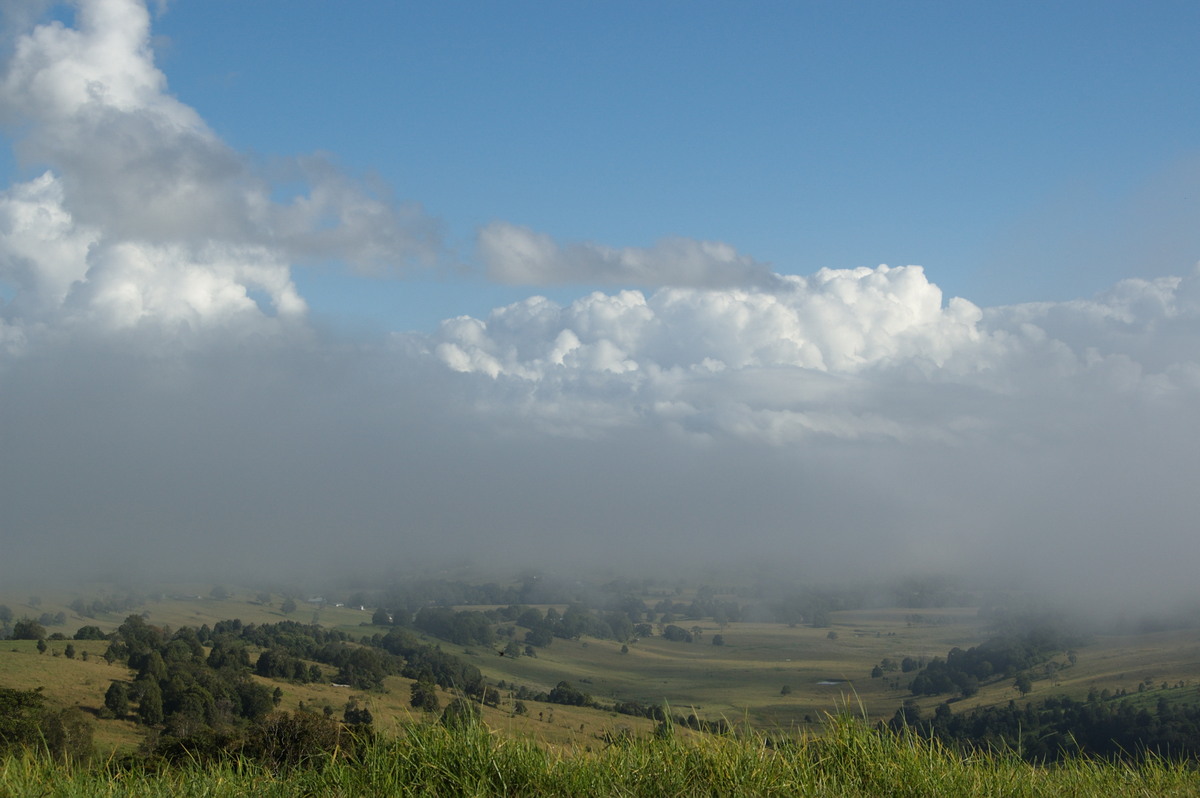 fogmist fog_mist_frost : McLeans Ridges, NSW   15 March 2008