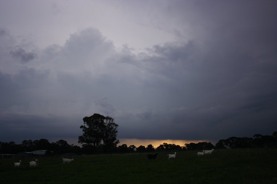 cumulonimbus thunderstorm_base : Schofields, NSW   24 March 2008