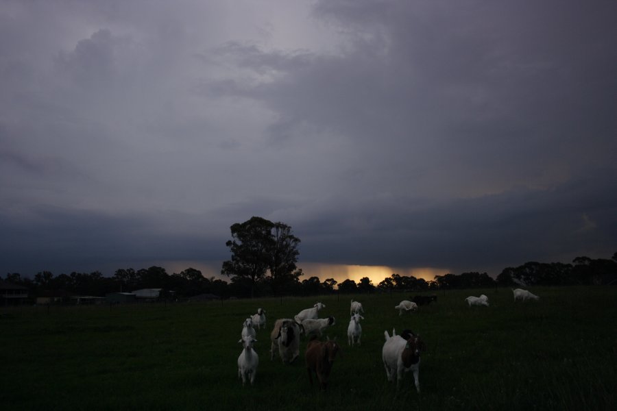 cumulonimbus thunderstorm_base : Schofields, NSW   24 March 2008