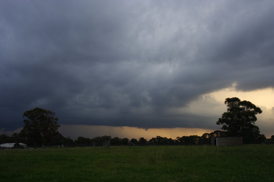 sunset sunset_pictures : Schofields, NSW   24 March 2008