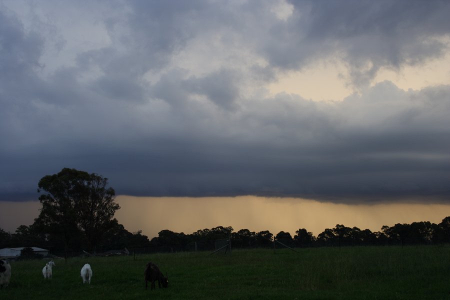 shelfcloud shelf_cloud : Schofields, NSW   24 March 2008