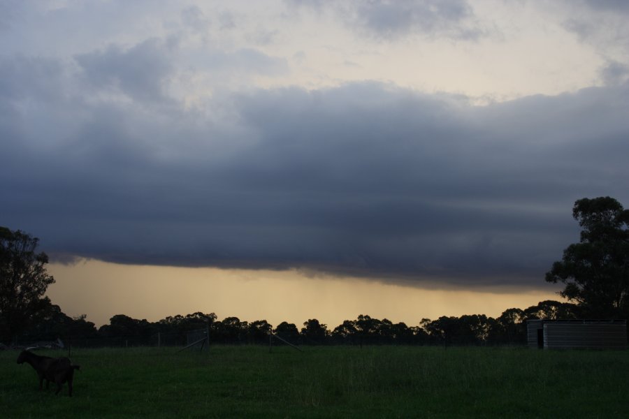 shelfcloud shelf_cloud : Schofields, NSW   24 March 2008