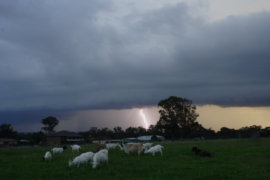 shelfcloud shelf_cloud : Schofields, NSW   24 March 2008