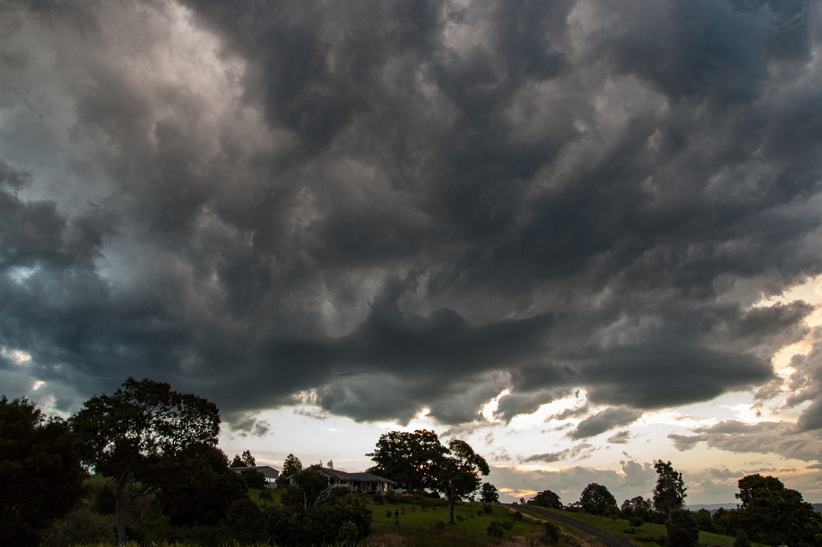 updraft thunderstorm_updrafts : McLeans Ridges, NSW   26 March 2008