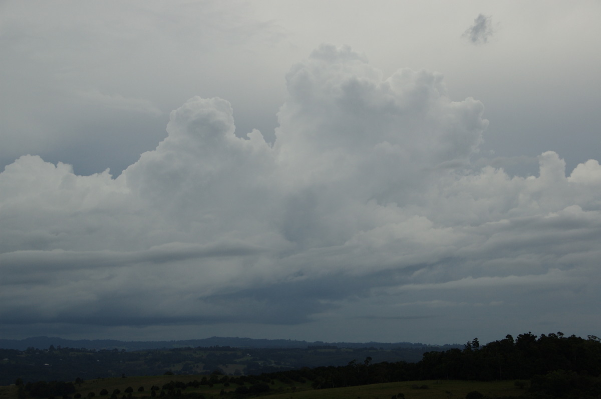 cumulus congestus : McLeans Ridges, NSW   28 March 2008