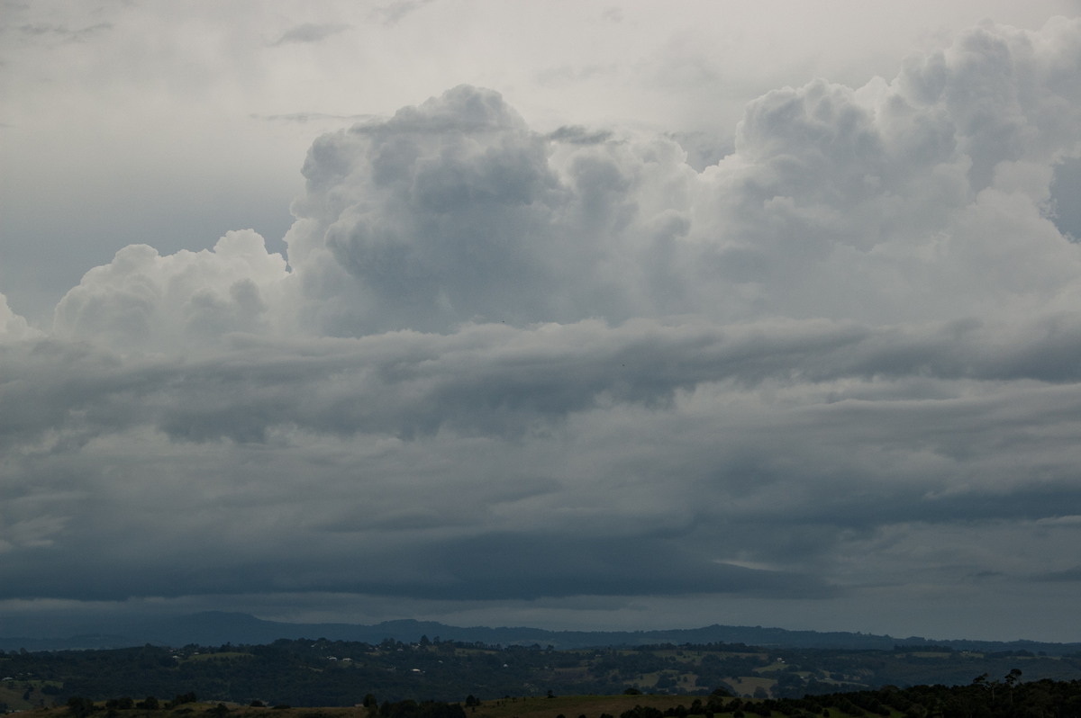 cumulus congestus : McLeans Ridges, NSW   28 March 2008