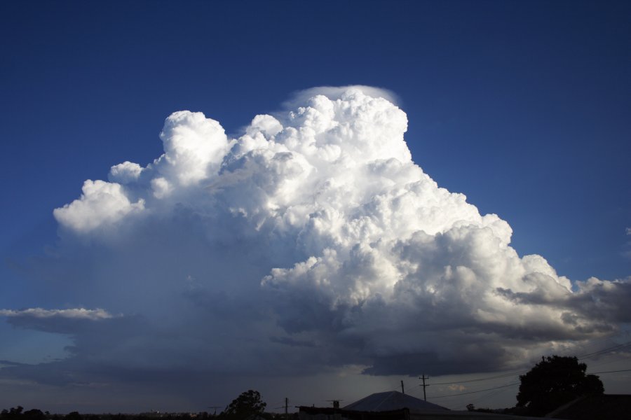 pileus pileus_cap_cloud : Schofields, NSW   29 March 2008