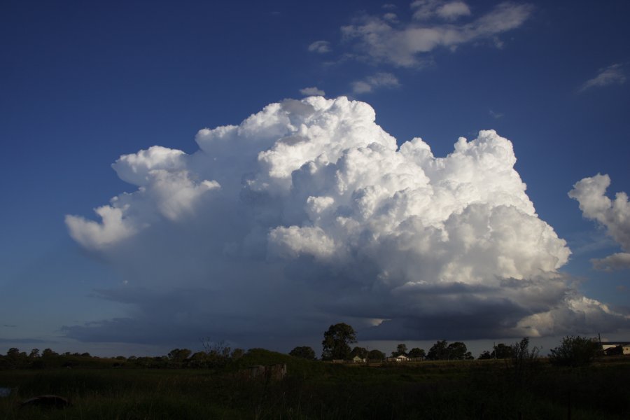 thunderstorm cumulonimbus_calvus : Schofields, NSW   29 March 2008