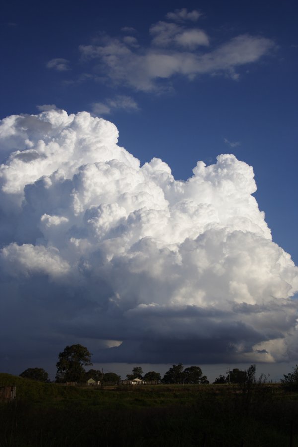 updraft thunderstorm_updrafts : Schofields, NSW   29 March 2008