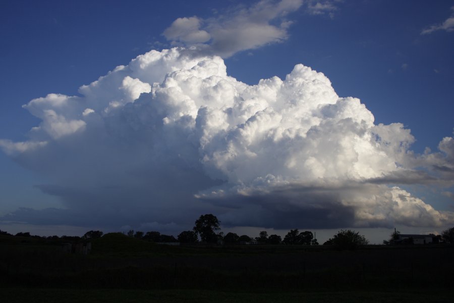 inflowband thunderstorm_inflow_band : Schofields, NSW   29 March 2008