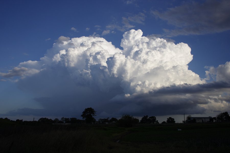 inflowband thunderstorm_inflow_band : Schofields, NSW   29 March 2008